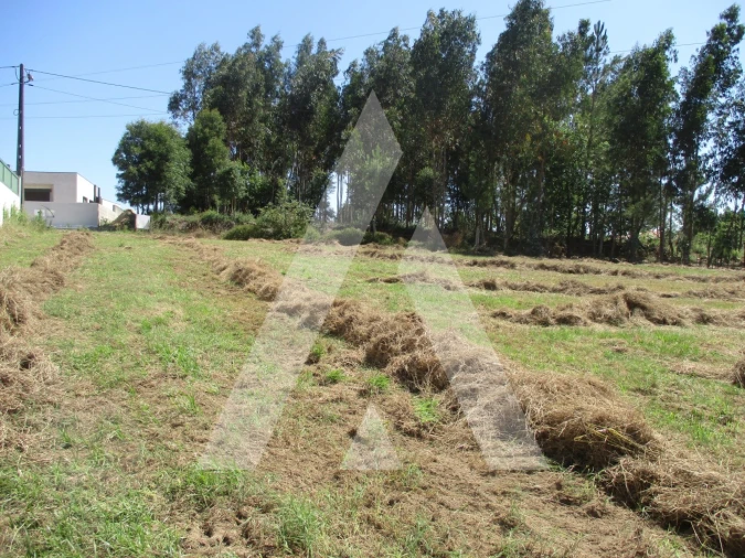 Terreno para Venda em Oiã Foto 6