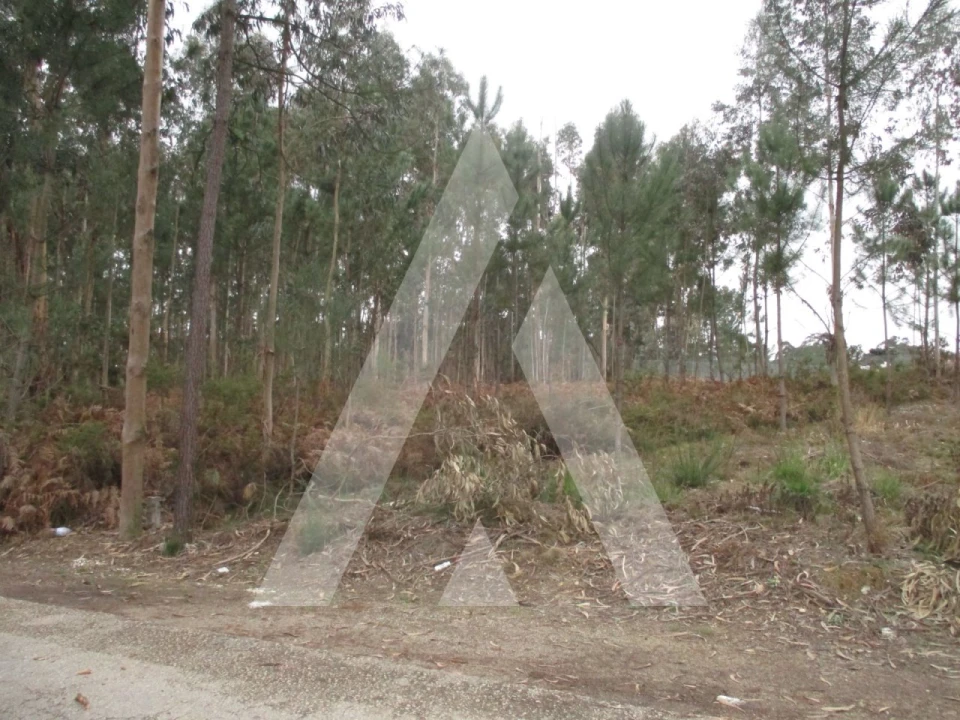 Terreno para Venda em Oliveira do Bairro Foto 1