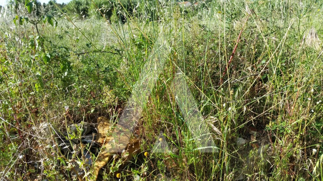 Terreno para Venda em Condeixa-A-Velha e Condeixa-A-Nova Foto 2