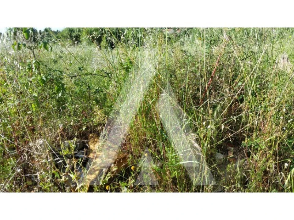 Terreno para Venda em Condeixa-A-Velha e Condeixa-A-Nova Foto 5