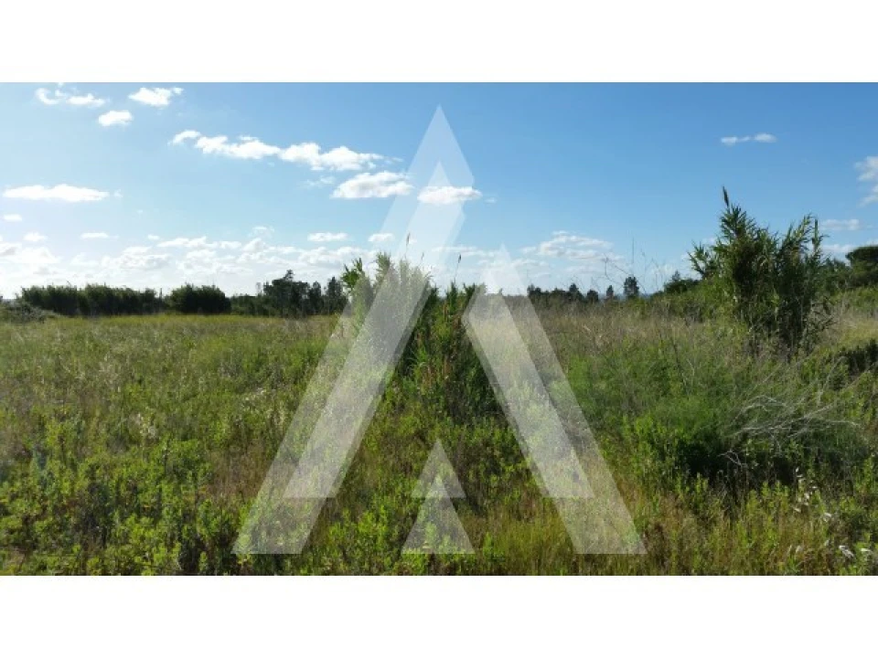 Terreno para Venda em Condeixa-A-Velha e Condeixa-A-Nova Foto 10