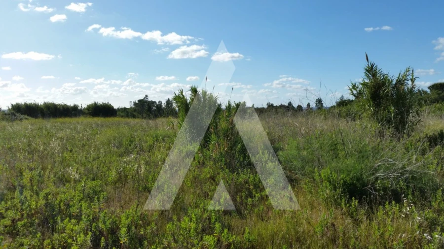 Terreno para Venda em Condeixa-A-Velha e Condeixa-A-Nova