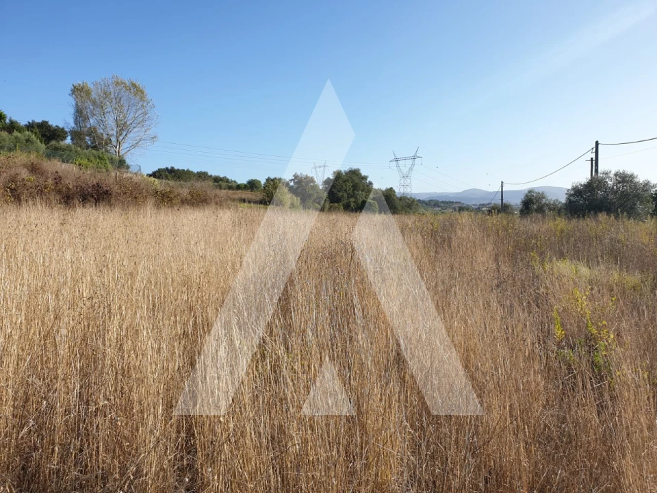 Terreno para Venda em Batalha Foto 3