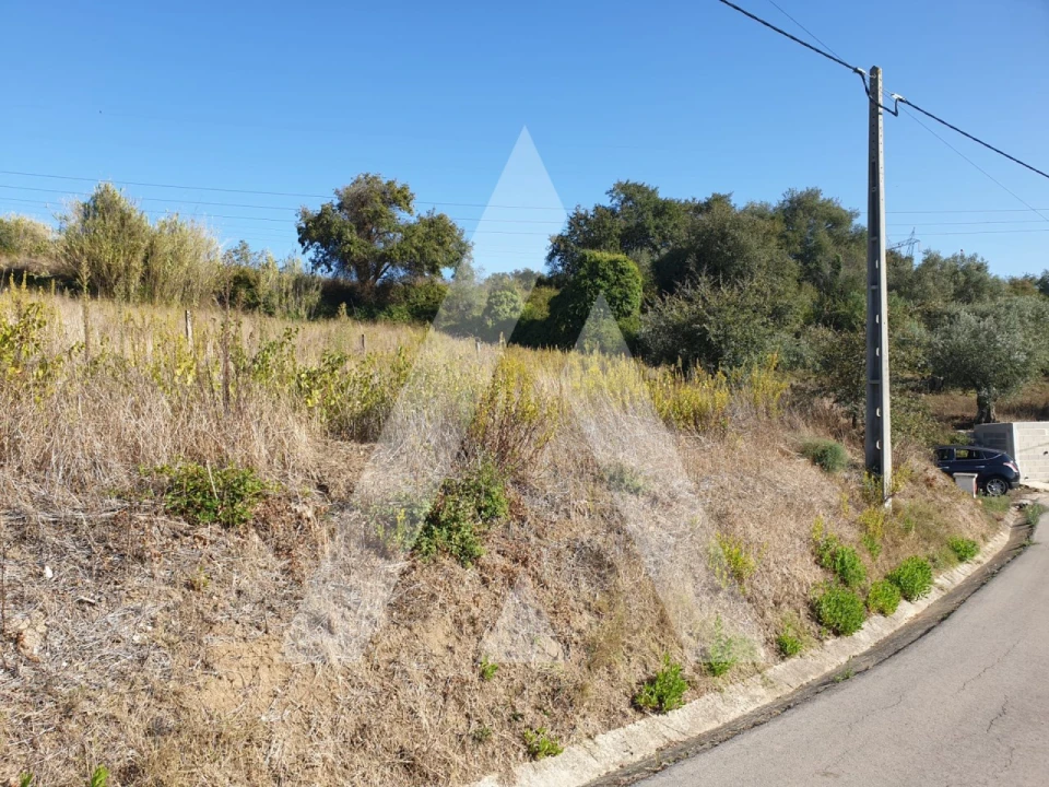 Terreno para Venda em Batalha Foto 4