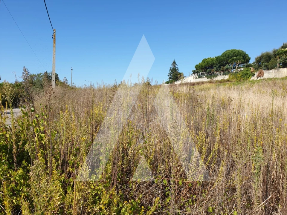 Terreno para Venda em Batalha Foto 7