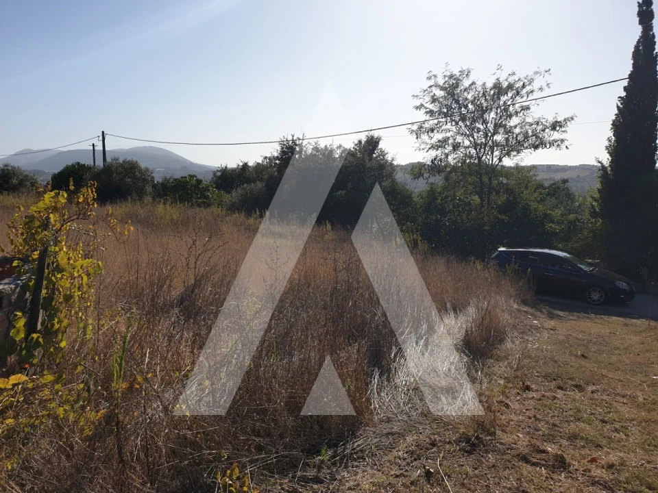 Terreno para Venda em Batalha Foto 8