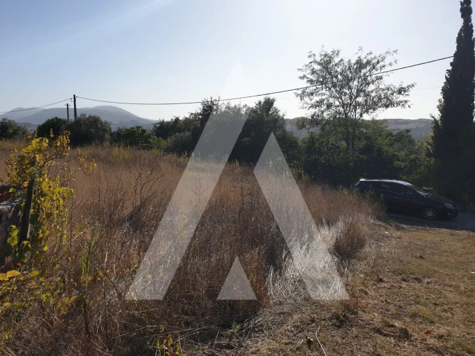 Terreno para Venda em Batalha Foto 8