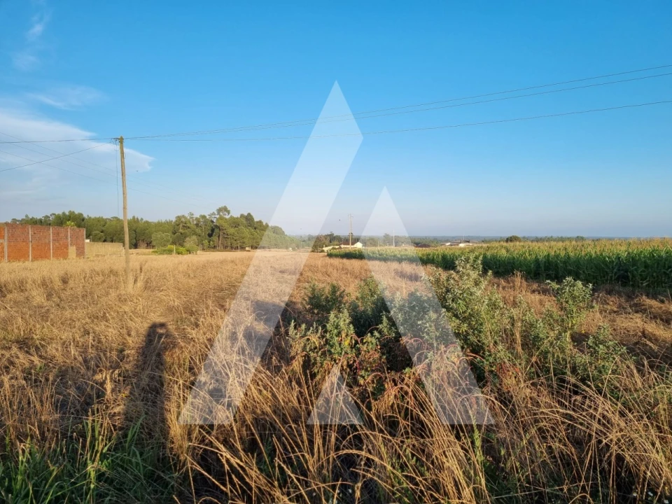 Terreno para Venda em Ouca Foto 3