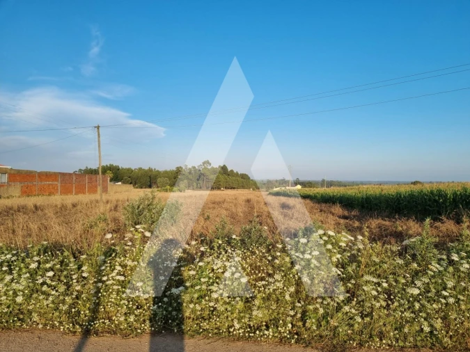 Terreno para Venda em Ouca Foto 1