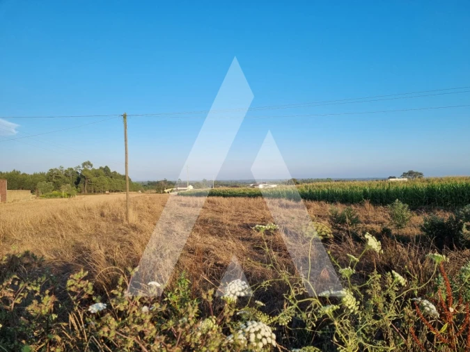Terreno para Venda em Ouca Foto 2
