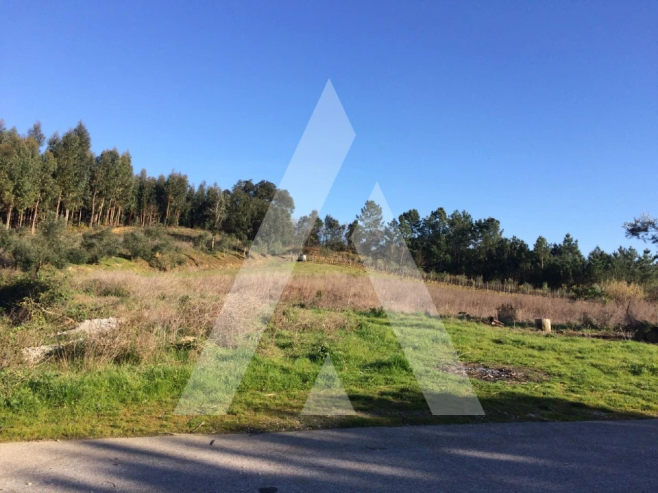 Terreno para Venda em Tamengos, Aguim e Óis do Bairro Foto 1