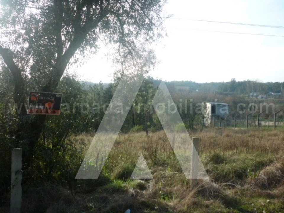 Terreno para Venda em Oliveira do Bairro Foto 1