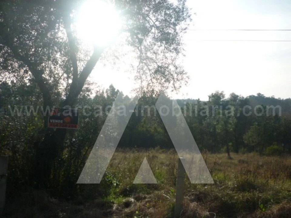 Terreno para Venda em Oliveira do Bairro Foto 2