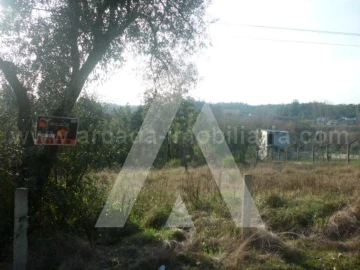 Terreno para Venda em Oliveira do Bairro