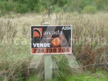 Terreno para Venda em Oliveira do Bairro