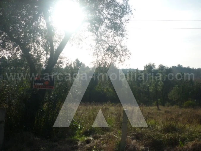 Terreno para Venda em Oliveira do Bairro Foto 2