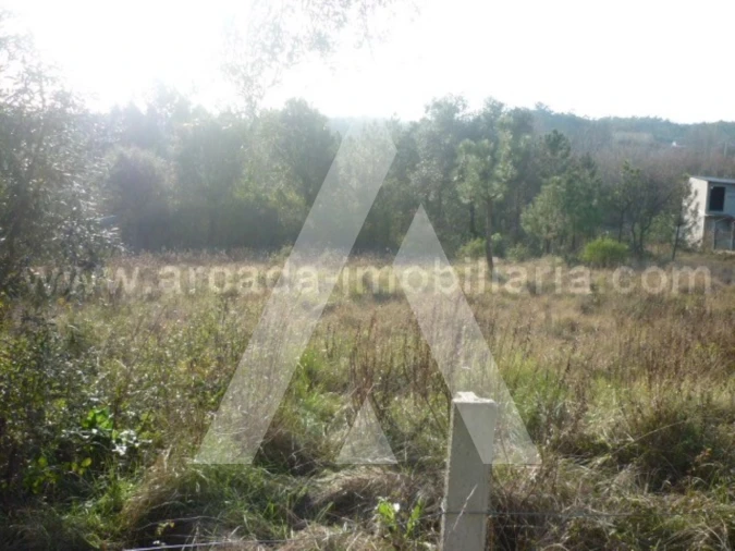 Terreno para Venda em Oliveira do Bairro Foto 3