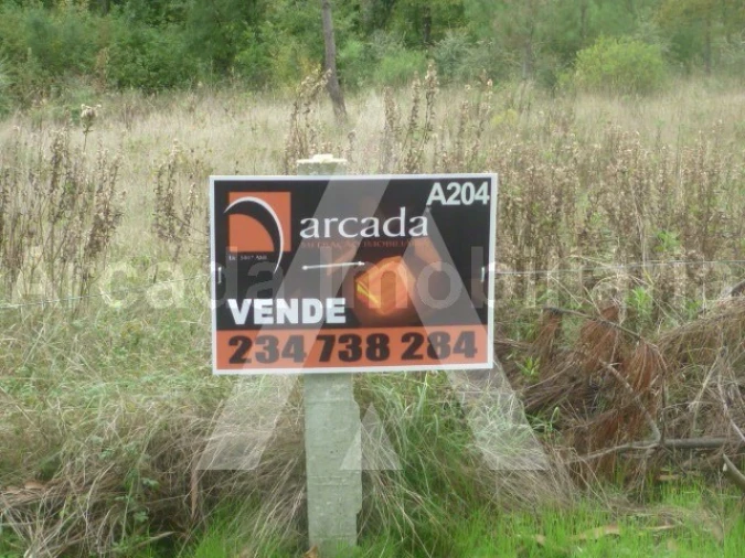 Terreno para Venda em Oliveira do Bairro Foto 5