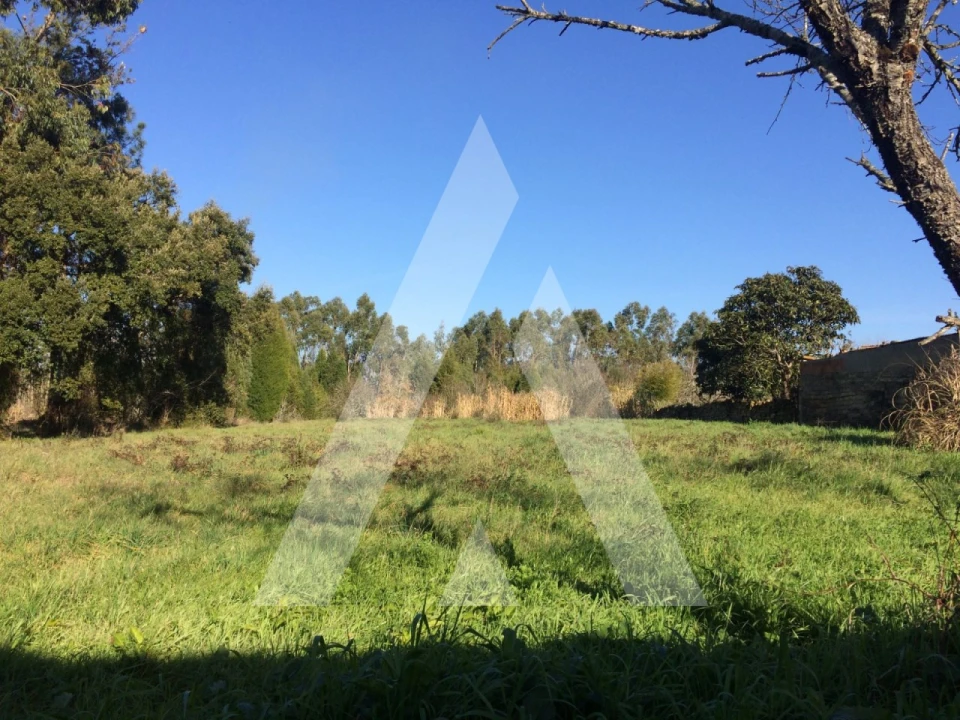 Terreno para Venda em São Lourenço do Bairro Foto 1