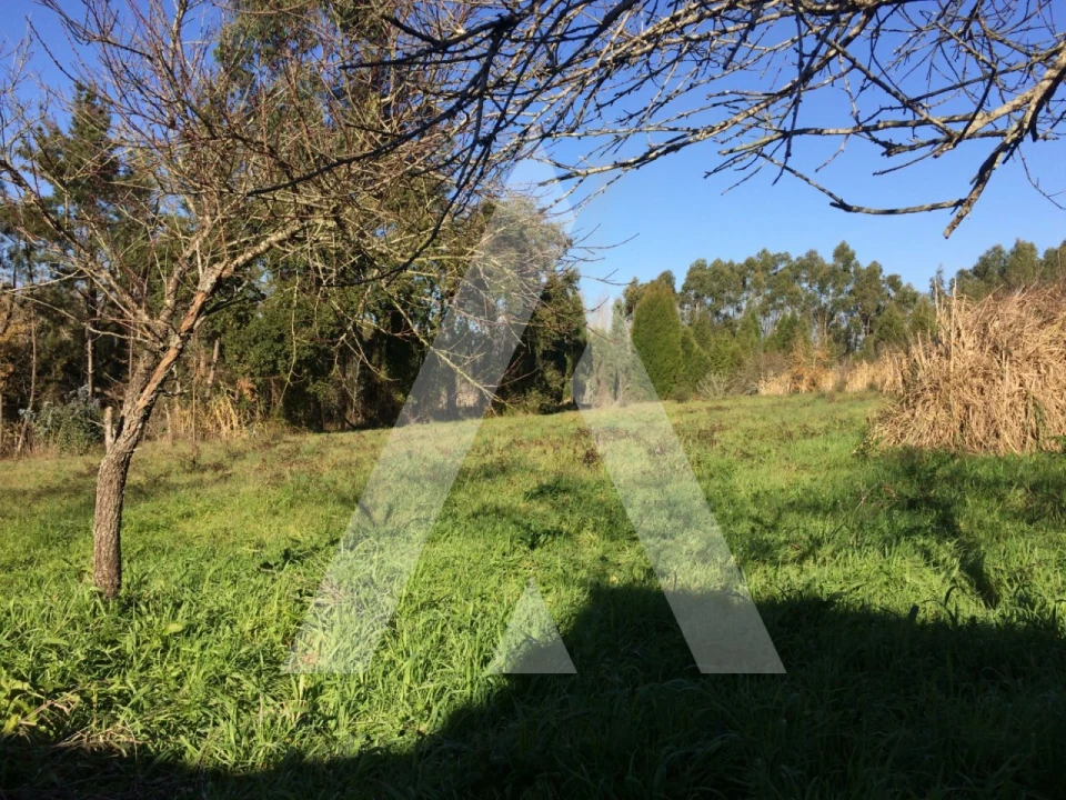 Terreno para Venda em São Lourenço do Bairro Foto 3