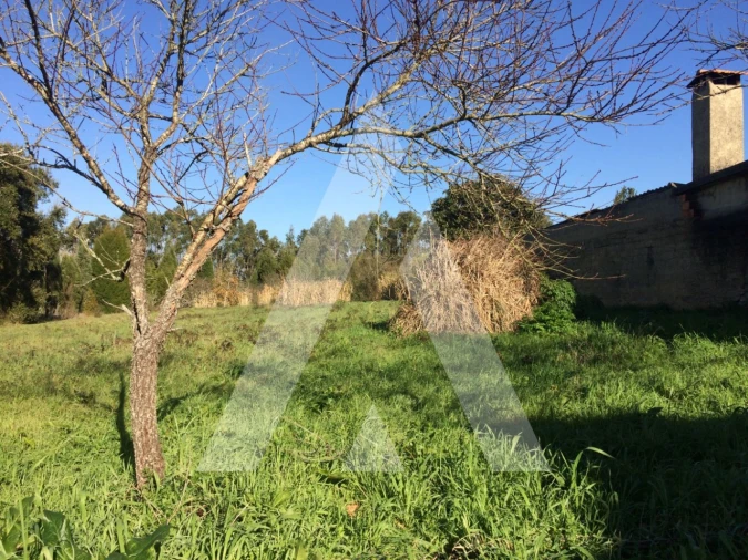 Terreno para Venda em São Lourenço do Bairro Foto 2