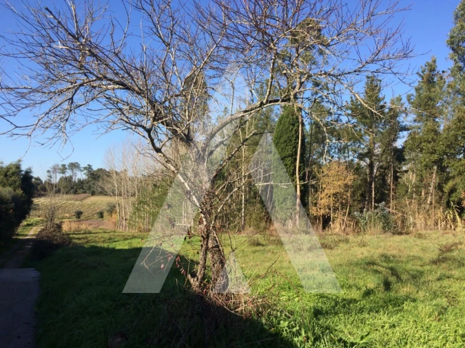 Terreno para Venda em São Lourenço do Bairro Foto 4