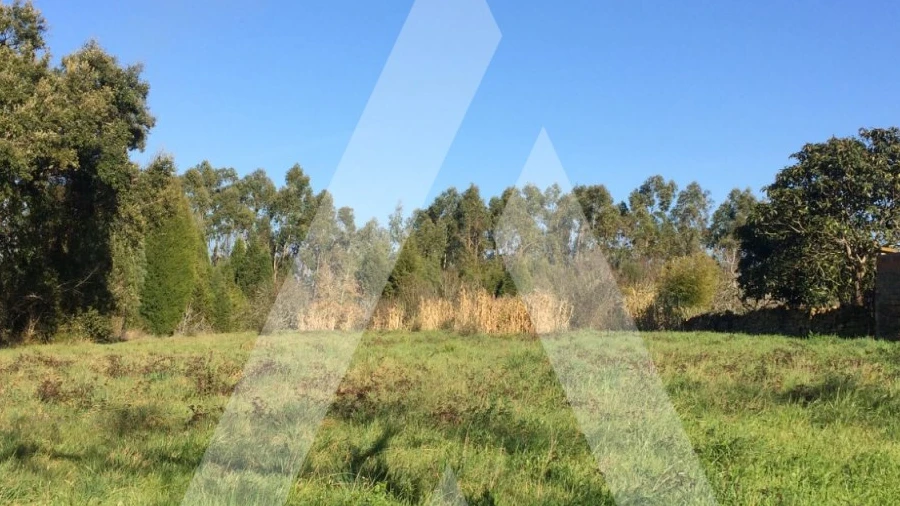 Terreno para Venda em São Lourenço do Bairro