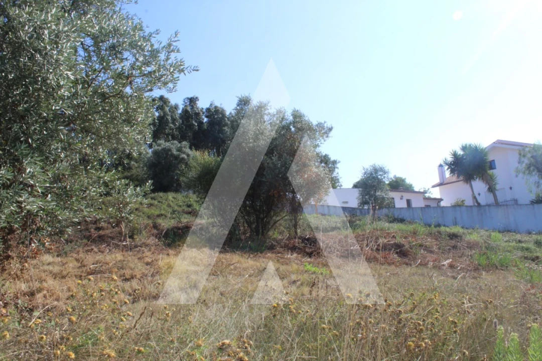 Terreno para Venda em Eiras e São Paulo de Frades Foto 4