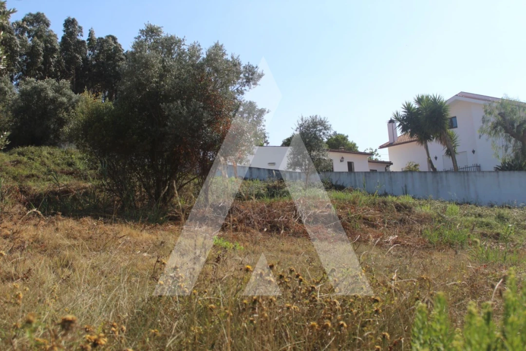 Terreno para Venda em Eiras e São Paulo de Frades Foto 5