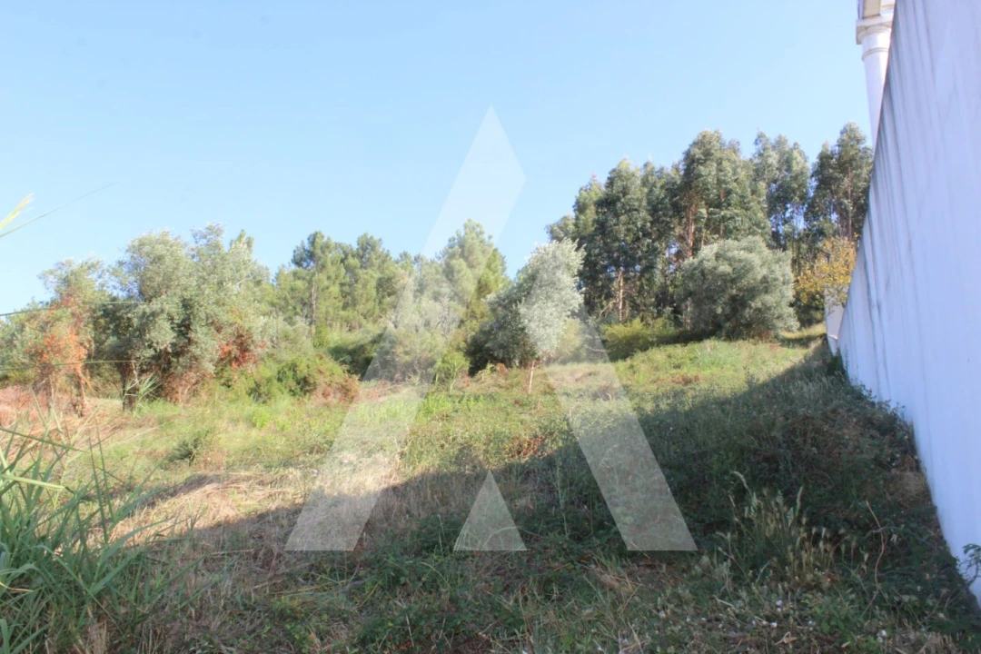 Terreno para Venda em Eiras e São Paulo de Frades Foto 8