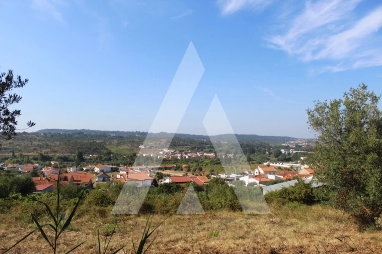 Terreno para Venda em Eiras e São Paulo de Frades Foto 1