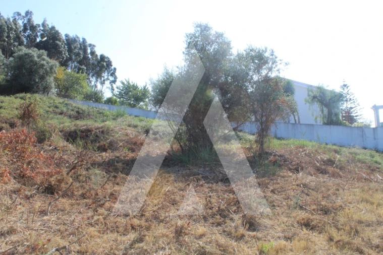 Terreno para Venda em Eiras e São Paulo de Frades Foto 7