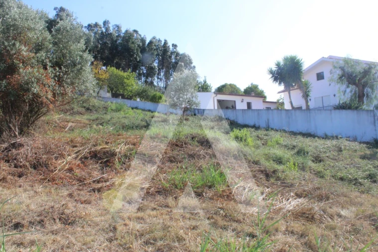 Terreno para Venda em Eiras e São Paulo de Frades Foto 2