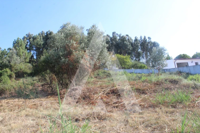 Terreno para Venda em Eiras e São Paulo de Frades Foto 9