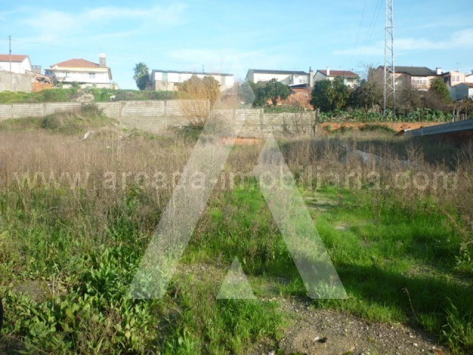 Terreno para Venda em Oliveira do Bairro Foto 1