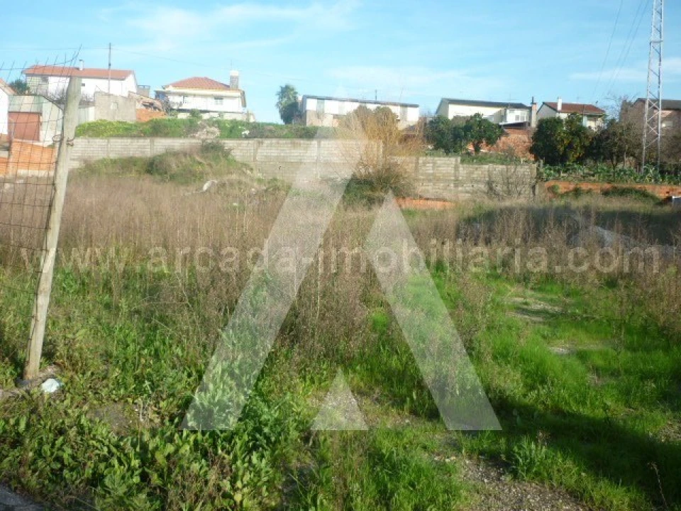 Terreno para Venda em Oliveira do Bairro Foto 2