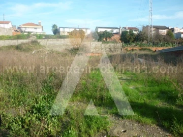Terreno para Venda em Oliveira do Bairro