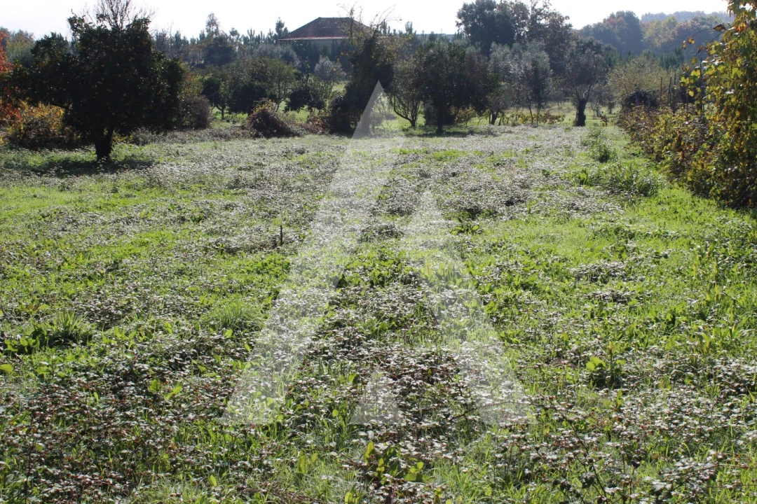 Terreno para Venda em Poiares (Santo Andre) Foto 3