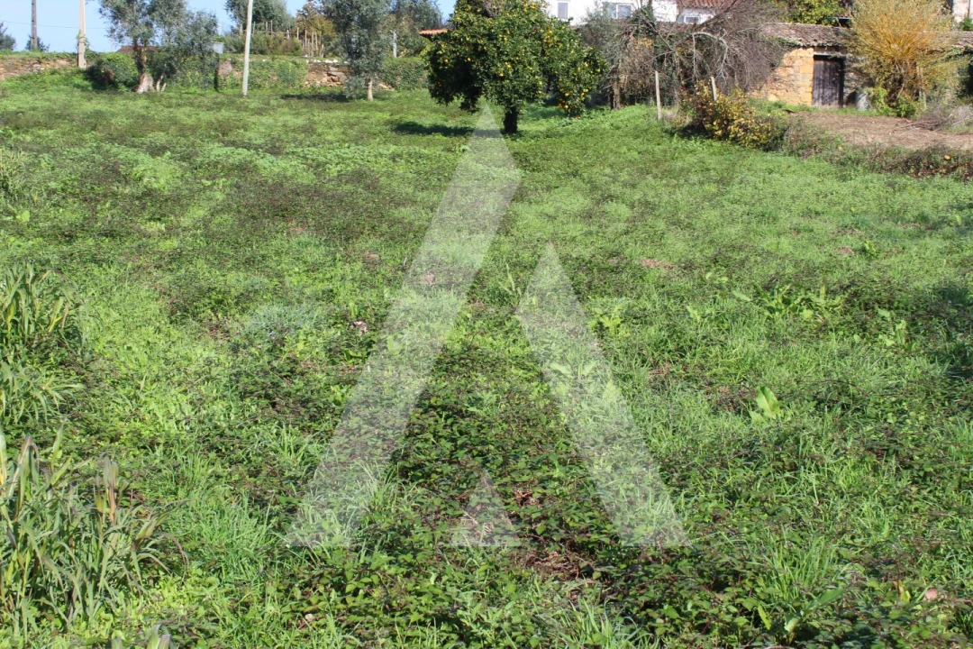Terreno para Venda em Poiares (Santo Andre) Foto 1