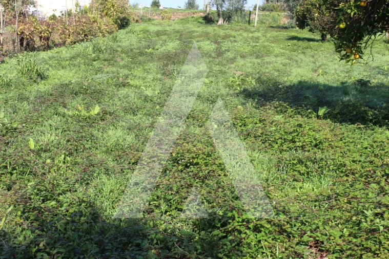 Terreno para Venda em Poiares (Santo Andre) Foto 2