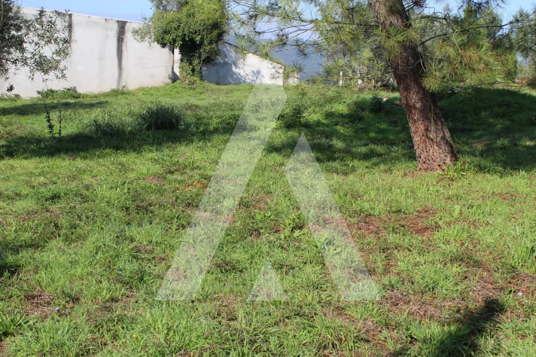 Terreno para Venda em Poiares (Santo Andre) Foto 2