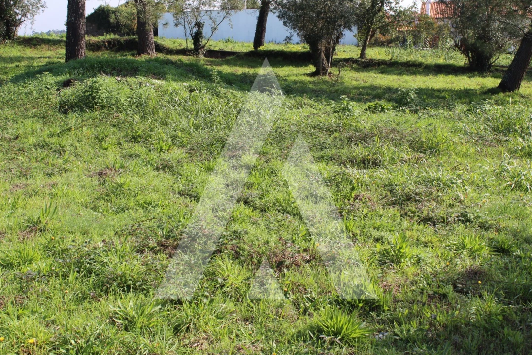 Terreno para Venda em Poiares (Santo Andre) Foto 6