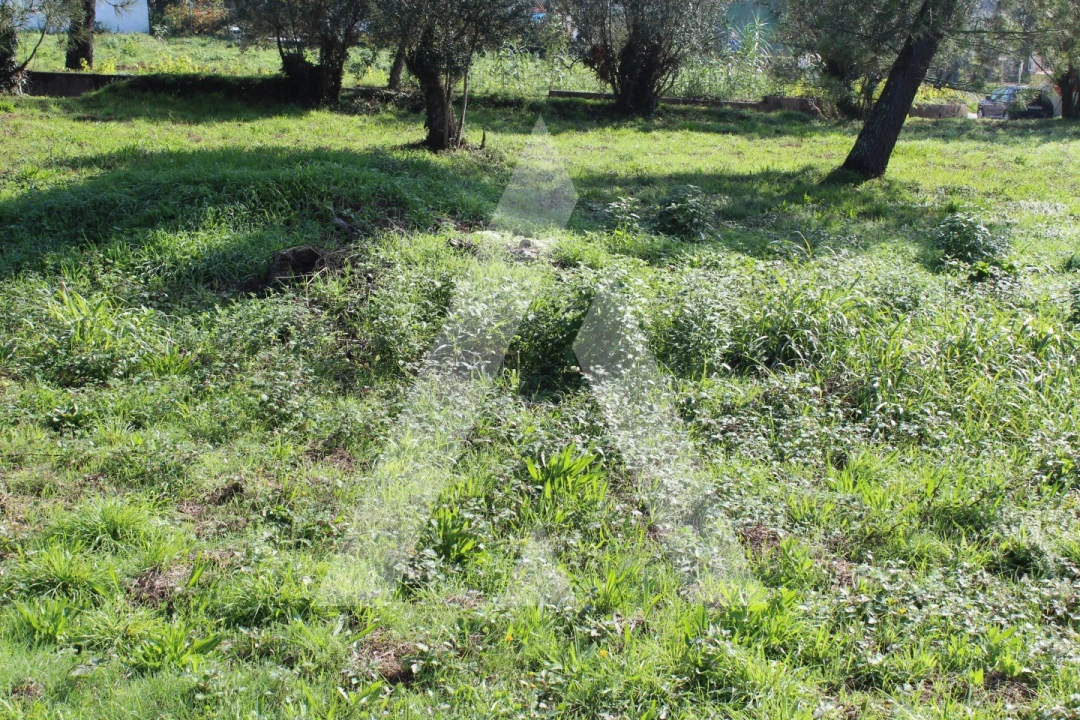 Terreno para Venda em Poiares (Santo Andre) Foto 5