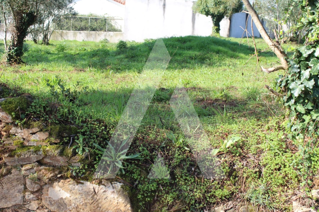 Terreno para Venda em Poiares (Santo Andre) Foto 7