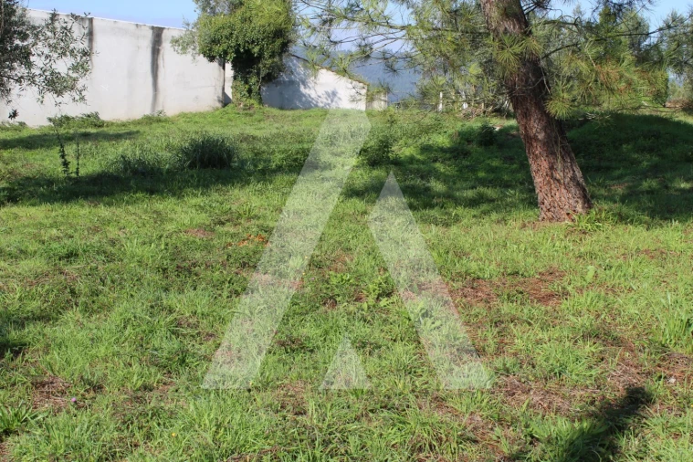 Terreno para Venda em Poiares (Santo Andre) Foto 2