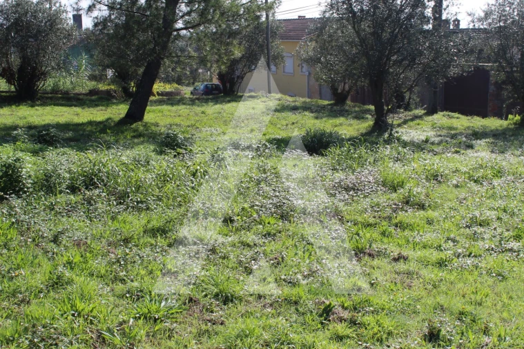Terreno para Venda em Poiares (Santo Andre) Foto 4