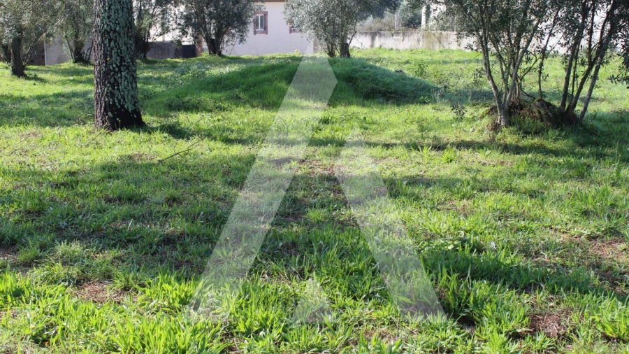 Terreno para Venda em Poiares (Santo Andre)