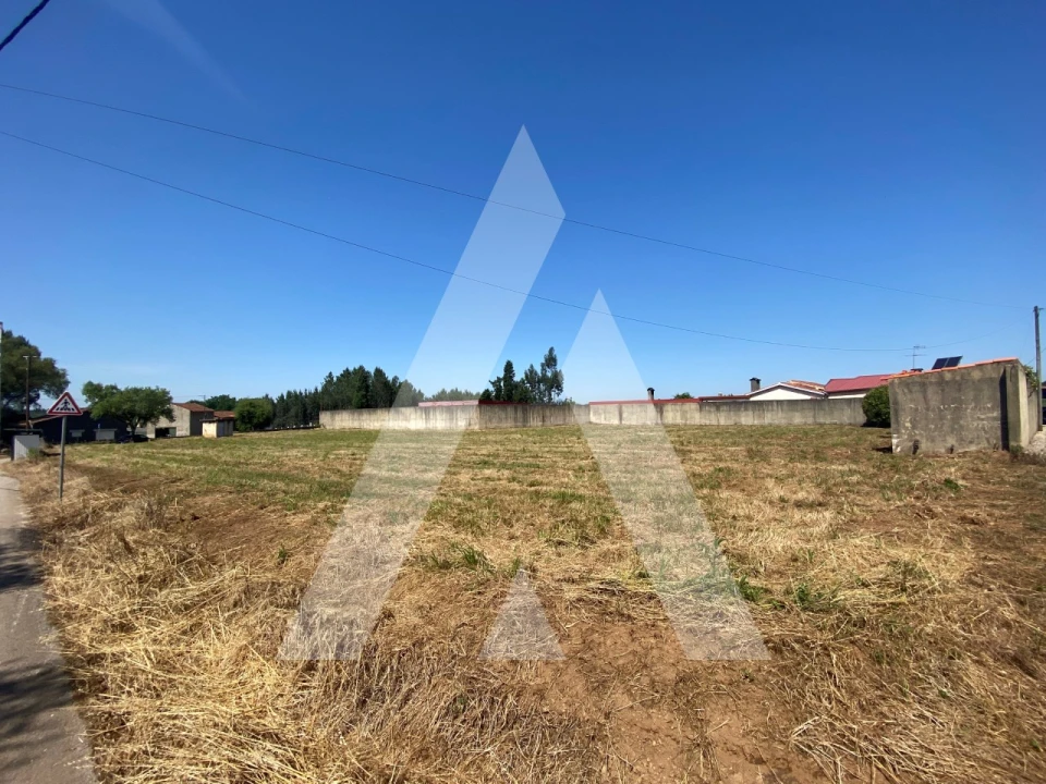 Terreno para Venda em Avelãs de Cima Foto 3