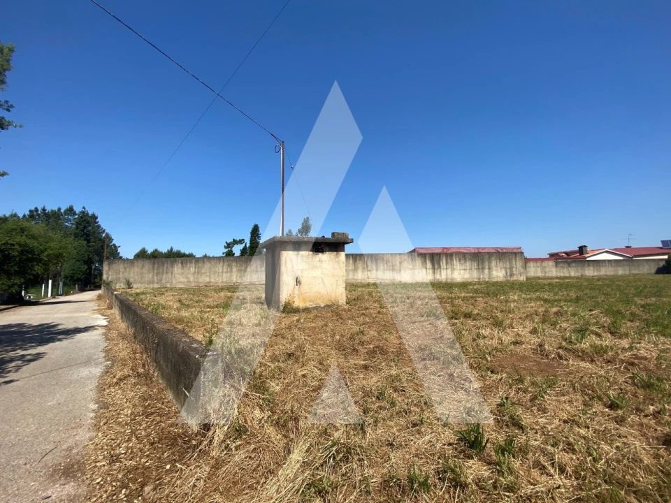 Terreno para Venda em Avelãs de Cima Foto 7