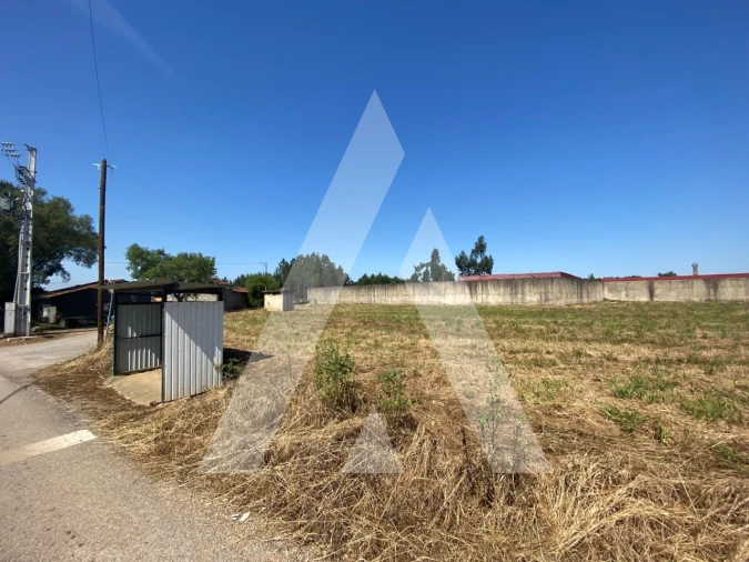 Terreno para Venda em Avelãs de Cima Foto 4